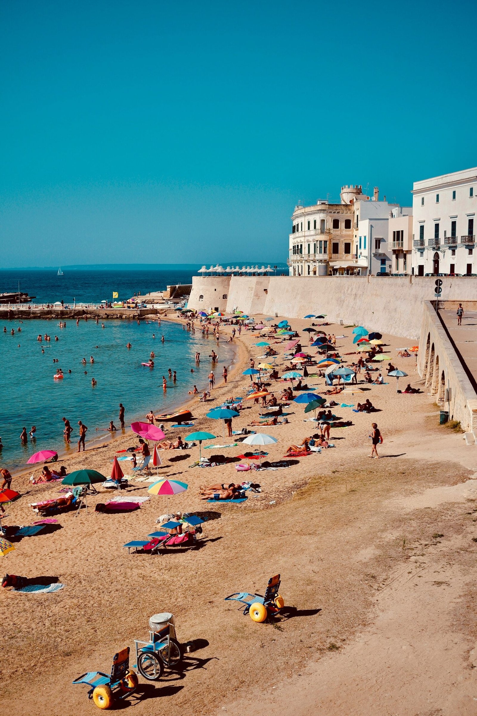 people on beach during daytime